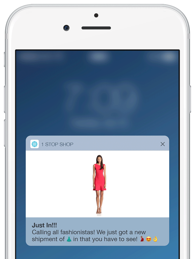 e-Commerce Push Notification
